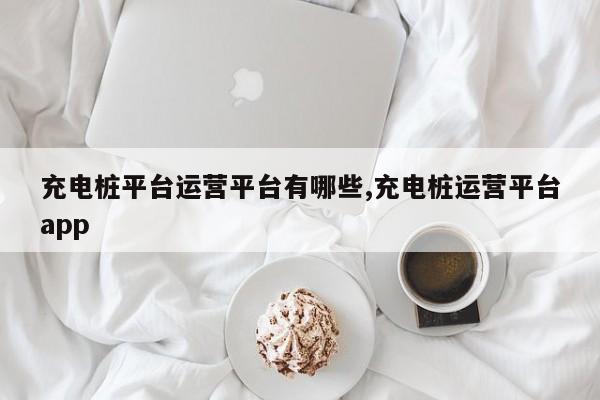 充电桩平台运营平台有哪些,充电桩运营平台app