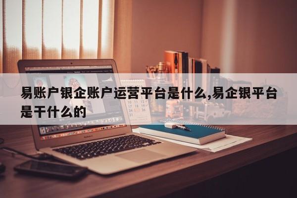 易账户银企账户运营平台是什么,易企银平台是干什么的
