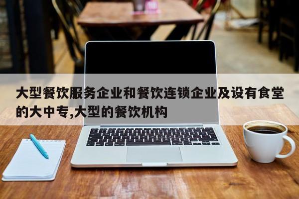大型餐饮服务企业和餐饮连锁企业及设有食堂的大中专,大型的餐饮机构